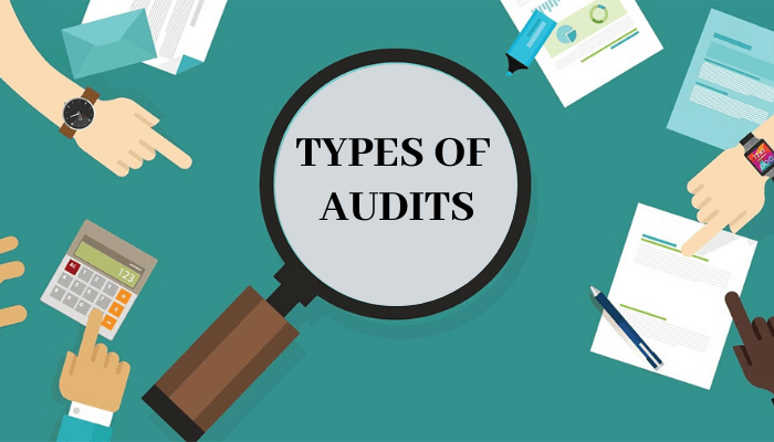 types of audit opinions