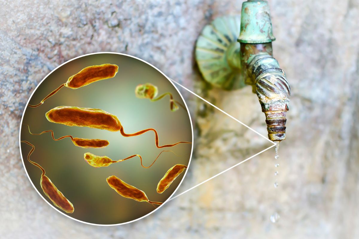 Cholera & Diarrhoeal Diseases