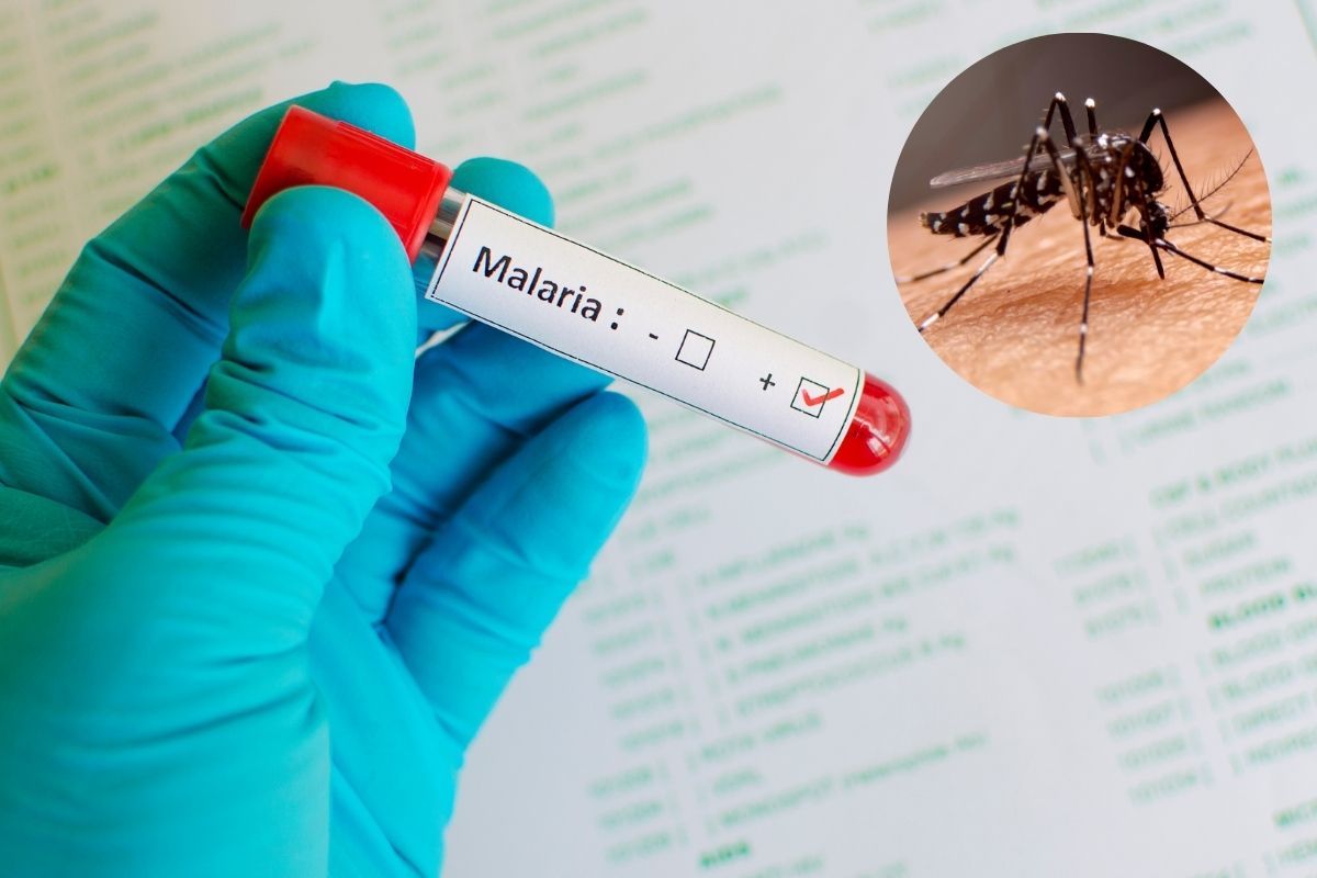 Malaria