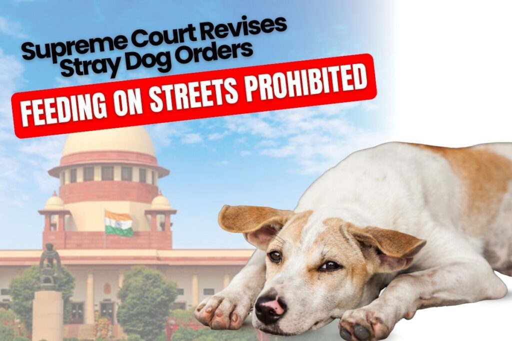 SC on stray dog orders