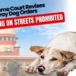 SC on stray dog orders
